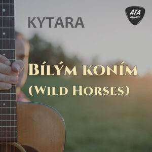 Kytara – Bílým koním (Wild Horses)