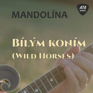 Mandolína – Bílým koním (Wild Horses)