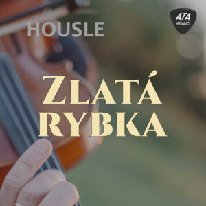 Housle – Zlatá rybka
