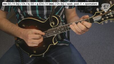 Mandolína – Tennessee Waltz - Image 2