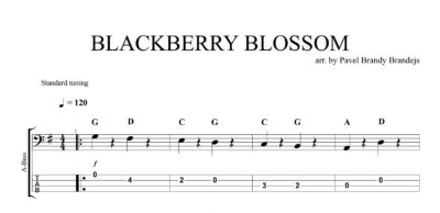 Blackberry Blossom (beginner) - Image 2