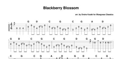 Blackberry Blossom (Ondra Kozák, advanced) - Image 2