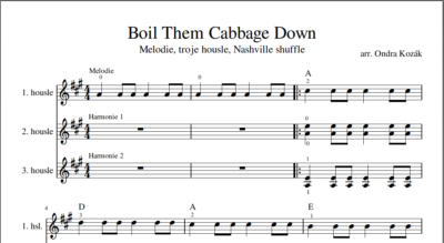 Boil Them Cabbage Down (3 housle) - Image 2