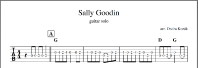 Sally Goodin - Image 2