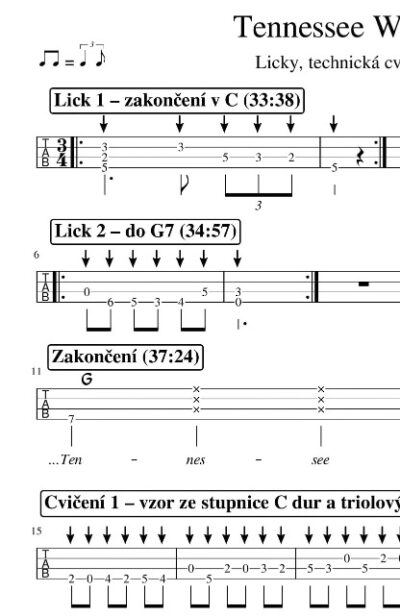 Mandolína – Tennessee Waltz - Image 8