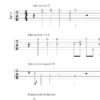 Banjo – Role banja ve skladbě - Image 6