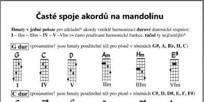 Doprovod na mandolínu v bluegrassu, country a folku - Image 11